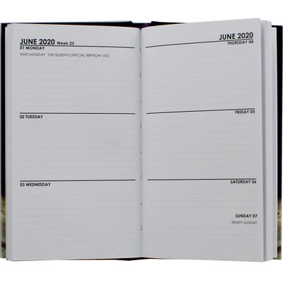 Cat Appointment Slim 2020 Pocket Diary - Week To View image number 2