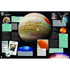 Guinness World Records 2021 image number 4