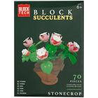 Blocks Succulents: Stonecrop image number 1