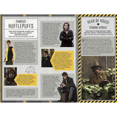 Harry Potter: Hufflepuff Magic - Artifacts from the Wizarding World image number 3