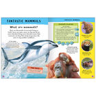 Encyclopedia of Amazing Facts image number 2