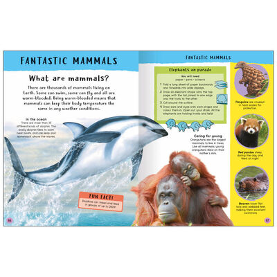 Encyclopedia of Amazing Facts image number 2