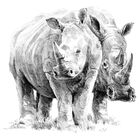 Rhino Pair Sketching Made Easy Set image number 2