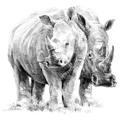 Rhino Pair Sketching Made Easy Set image number 3