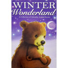 Winter Wonderland image number 1