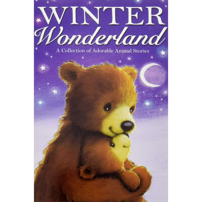 Winter Wonderland image number 1