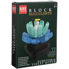Block Tech Succulents Plants: Assorted image number 1