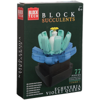Block Tech Succulents Plants: Assorted