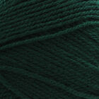 Robin DK: Forest Yarn 100g image number 2