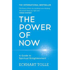 The Power of Now: A Guide To Spiritual Enlightenment image number 1