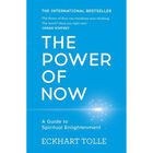 The Power of Now: A Guide To Spiritual Enlightenment image number 1
