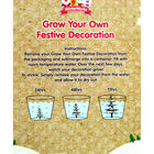 Grow Your Own Festive Decoration: Assorted image number 3