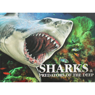 Sharks & Predators of the Deep image number 1