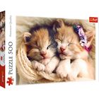 Sleeping Kittens 500 Piece Jigsaw Puzzle image number 1