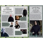 Harry Potter: Slytherin Magic - Artifacts from the Wizarding World image number 3