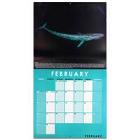 Endangered Species 2022 Square Calendar and Diary Set