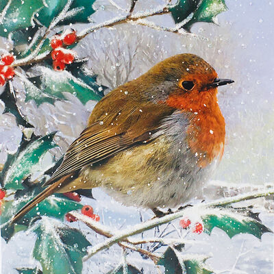 Robin Christmas Cards: Pack Of 10 image number 2