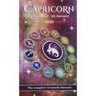 Capricorn Horoscope 2020 image number 1
