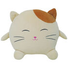 PlayWorks Hugs & Snugs Cream Cat Plush image number 1