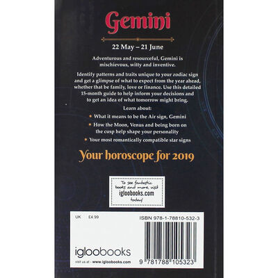 Gemini: Horocope 2019 image number 2