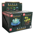 Block Tech Succulents Plants: Assorted image number 5