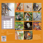 British Birds 2021 Calendar and Diary Set image number 2