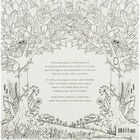Enchanted Forest: Colouring Book image number 4