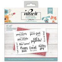 Nitwits Pawsitivity Clear Acrylic Stamp Set