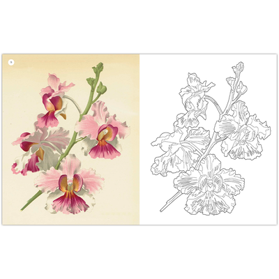 The Kew Gardens: Amazing Orchids Colouring Book image number 3