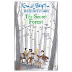 Enid Blyton The Secret Series: 4 Book Box Set image number 2