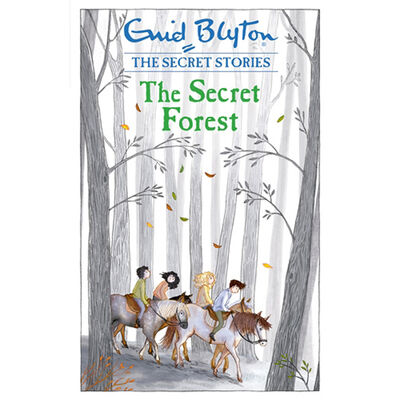 Enid Blyton The Secret Series: 4 Book Box Set image number 2
