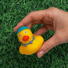 Spring Ducks: Pack of 3 image number 4