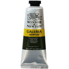 Winsor & Newton Galeria Acrylic Paint Tube - Olive Green image number 1