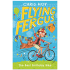 The Best Birthday Bike: Flying Fergus Book 1 image number 1