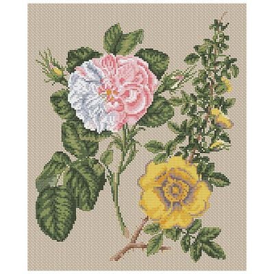 Floragenius Counted Cross Stitch Kit: Damask Rose & Yellow Rose image number 2