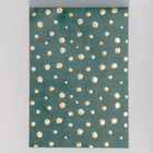 Eucalyptus A5 Vellum And Paper image number 2