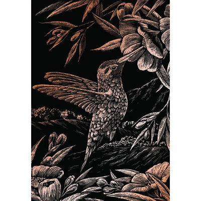 A4 Engraving Art Set: Hummingbird image number 2