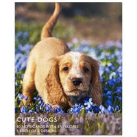Cute Dogs Notecards