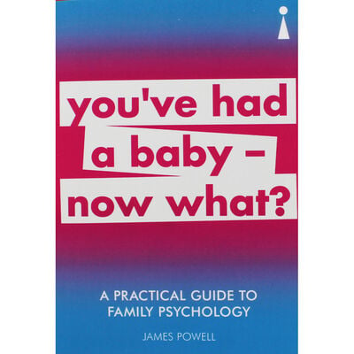 You've Had A Baby? Now What: A Practical Guide image number 1