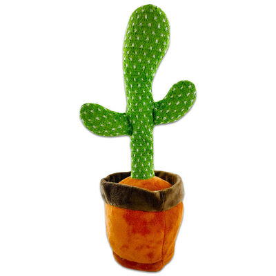 Dancing Cactus image number 3