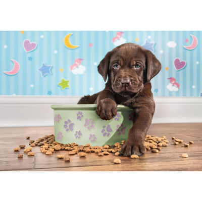 Lovely Puppy 180 Piece Jigsaw Puzzle image number 2