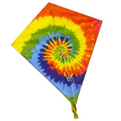 Diamond Kite image number 1