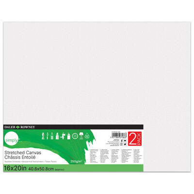 2 Daler Rowney Stretched Canvases - 16x20 Inch image number 1