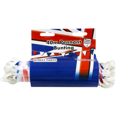 Red, White and Blue 40m Pennant Bunting image number 1