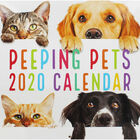 Peeping Pets 2020 Square Calendar image number 1