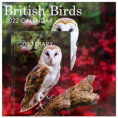British Birds 2022 Square Calendar and Diary Set image number 1