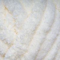 Super Soft Teddy Yarn: Vanilla 200g