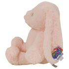 PlayWorks Hugs & Snugs Plush Toy: Pink Bunny image number 3