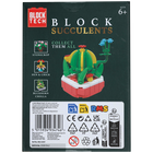 Blocks Succulents: Cactus image number 3