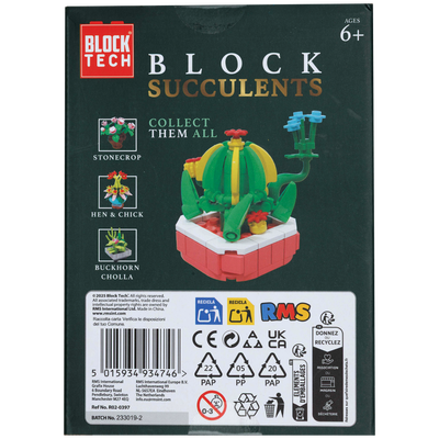 Blocks Succulents: Cactus image number 3
